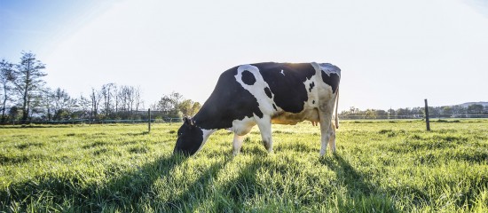 Loi d’orientation agricole : les principales mesures