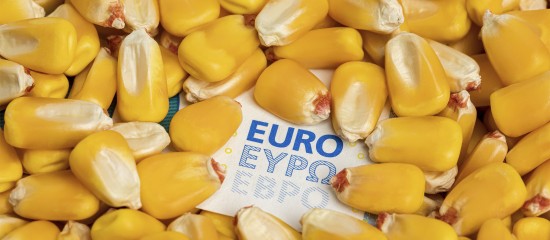 Exploitants agricoles : plus que quelques semaines pour déposer votre déclaration Pac