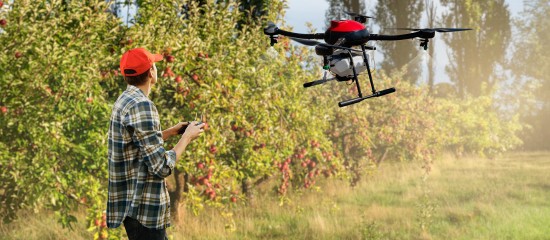 Arboriculture, viticulture : autorisation temporaire des traitements par drone en Occitanie