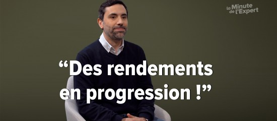 Le rendement des fonds en euros en 2025