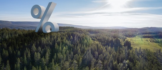 Groupements forestiers : un nouvel indice pour mesurer leurs performances