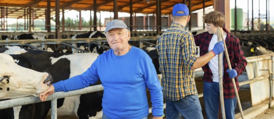 Décès d’un non-salarié agricole : capital décès pour ses ayants droit